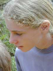 Andasibe_Lemur_a2