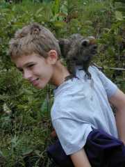 Andasibe_Lemur_b2
