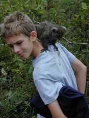 Andasibe_Lemur_b3