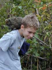 Andasibe_Lemur_b5