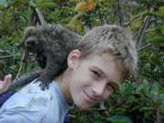 Andasibe_Lemur_b6