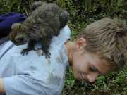 Andasibe_Lemur_b7