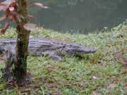 DSCN0102