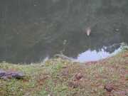 DSCN0104