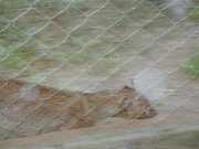 DSCN0108