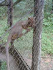 DSCN0110