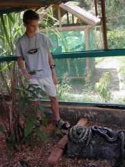 Mandraka_d1