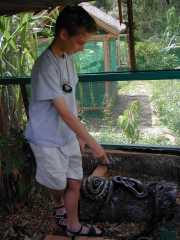 Mandraka_d2