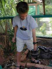 Mandraka_d3