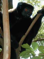 Pacques_i5a