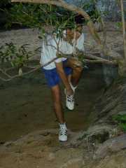 Pacques_o6a