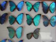 DSCN0015