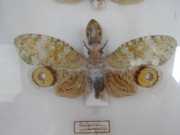 DSCN0017