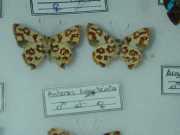 DSCN0023