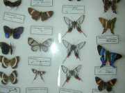 DSCN0024
