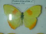 DSCN0026