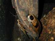 DSCN0036