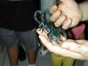 DSCN0054