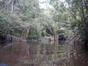 DSCN0028