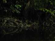 DSCN0029