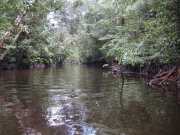 DSCN0036