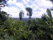 DSCN0039