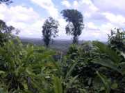 DSCN0040