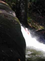 DSCN0074