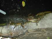 1_DSCN0034