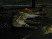 DSCN0011