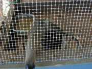 DSCN001715