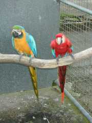 DSCN0018