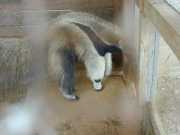 DSCN0024
