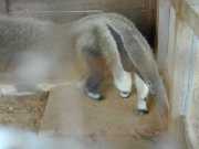 DSCN0028