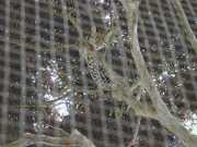 DSCN0031