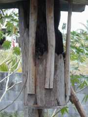 DSCN0034