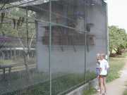 DSCN0035