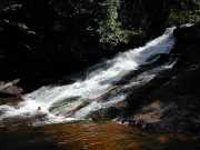 DSCN0037