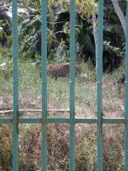 DSCN0043