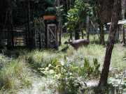 DSCN0046