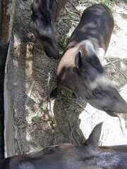 DSCN0049