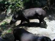 DSCN0051