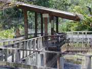 DSCN0057