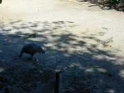 DSCN0065