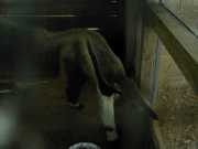 DSCN0068