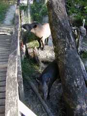 DSCN0071