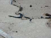 DSCN0029