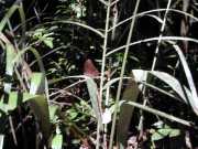 DSCN0092