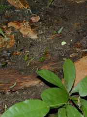 DSCN0094