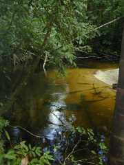 DSCN0097